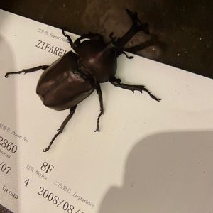 Meet your Posher, Rob